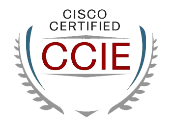 Read more about the article :: It’s here! The CCIE LAB Image